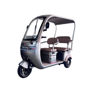 ELEPHANT VELOCIPEDO ELECTRICO ALESSIA / TRI-P07-GR
