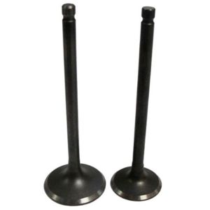 VALVULAS CALIDAD GOLD (IRON BOX) (ADMISION YESCAPE) / VAL-007