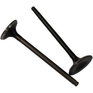 VALVULAS ADMISION Y ESCAPE / VAL-029