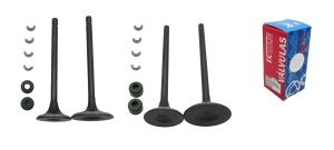 FIN - VALVULAS CALIDAD (ADMISION Y ESCAPE) KIIRUS / VAL-031F