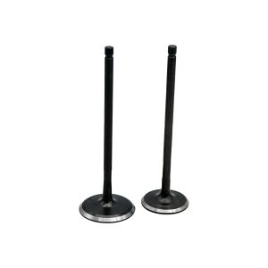 VALVULAS ADMISION Y ESCAPE / VAL-034