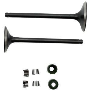 VALVULAS CALIDAD GOLD (IRON BOX) (ADMISION Y ESCAPE) / VAL-038