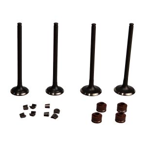 VALVULAS CALIDAD GOLD (IRON BOX) (ADMISION Y ESCAPE) / VAL-039