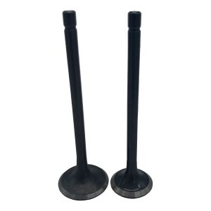 VALVULAS ADMISION Y ESCAPE / VAL-CGF-01F