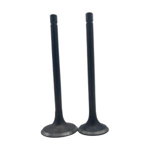 VALVULAS ADMISION Y ESCAPE / VAL-CGG-01F