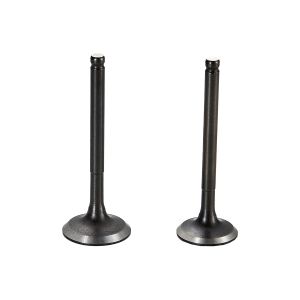 VALVULAS ADMISION Y ESCAPE / VAL-GYF-01F