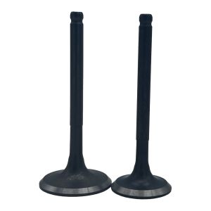 VALVULAS ADMISION Y ESCAPE / VAL-GYG-01F